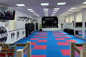 Image result for Dynamic Self Defence