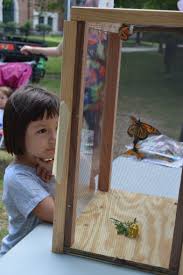 Image result for Cambridge Monarchs