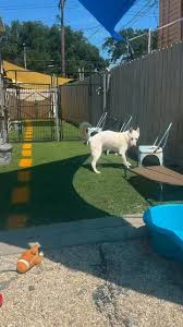 Image result for Braveheart Fencing