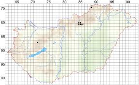 Attēlu rezultāti vaicājumam “Poa remota”
