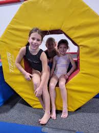 Image result for Horsham Gymnastics Club