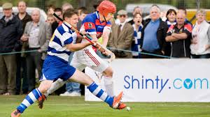 Image result for World of Shinty