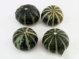 Attēlu rezultāti vaicājumam “Cucurbita pepo fruit”