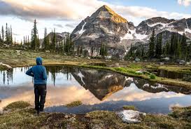 Image result for Leek Park B C