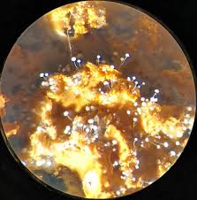 Attēlu rezultāti vaicājumam “Craterium minutum young”