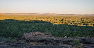 Billedresultat for kakadu n...