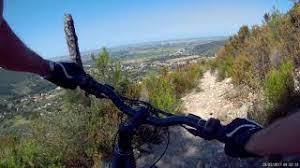 Image result for il_merda.jpg