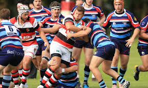 Image result for Old Paulines Cricket Club