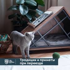 Image result for Приметы