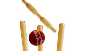 Image result for Bat Sports Cricket Club