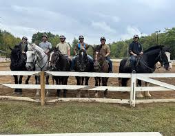 Image result for Shey Copse Riding Centre