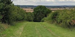 Image result for Abbotsley