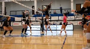 Image result for York University Volleyball Club