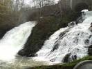 Coo Pictures - Featured Coo Photos - TripAdvisor