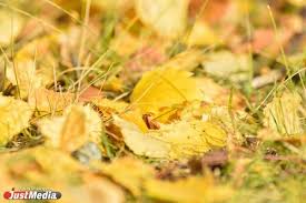 Image result for Приметы