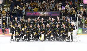 Image result for Nottingham Panthers