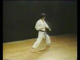 Image result for Reading Karate-Do Shotokai