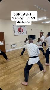 Image result for Yoseikan Budo England