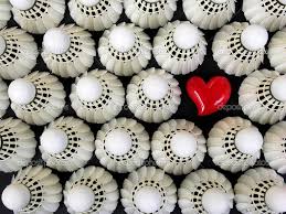 Image result for Heys Badminton Club