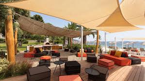 Image result for Palace Eagles Octopush Club