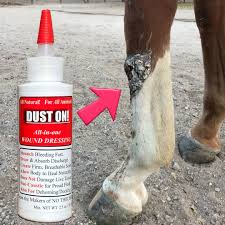 Image result for "proud flesh"