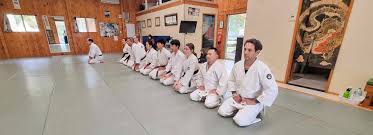 Image result for Goryukai Aikido Yoshinkan (Chichester)