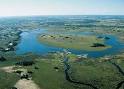 Okavango Delta Swamp in Botswana - Animals Plants Rainforest