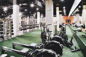 Image result for Lynx Gymnastics Club