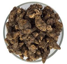 Attēlu rezultāti vaicājumam “Potentilla erecta fruit”