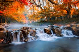 Image result for JVXIW