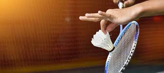 Image result for Boothferry Junior Badminton Club