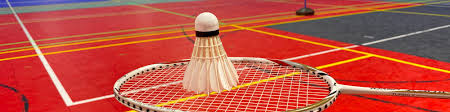 Image result for Plains Badminton Club