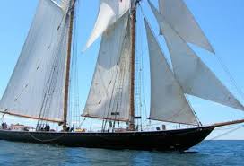 Image result for Xarifa