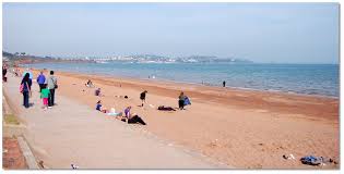 Image result for Paignton Cc