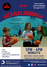 Image result for Harborough Junior Dodgeball Club