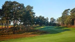 Image result for Downshire Golf Complex