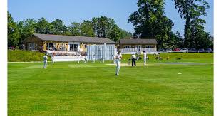 Image result for Halesowen Cricket Club