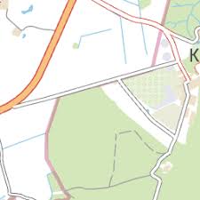 Attēlu rezultāti vaicājumam “Heterotrichia oerstedii (syn. Arcyria oerstedii) sessile”