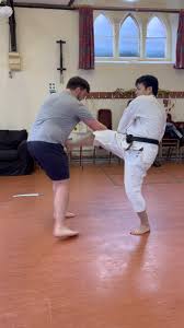 Image result for University of Bristol Shorinji Kempo Club