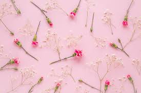 Image result for розовые обои