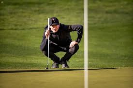 Image result for Preston Phoenix