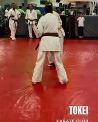 Image result for Tokei Martial Arts Club