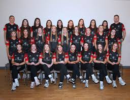 Image result for St Bronagh`s Gaa