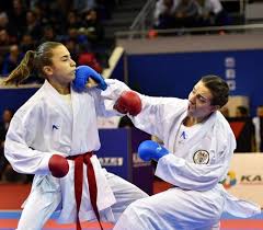 Image result for Su-Ha-Ri-Wado Karate School