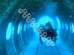 Image result for Bradford Sub-Aqua Club