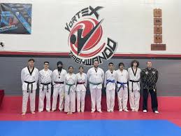 Image result for Surrey Taekwondo