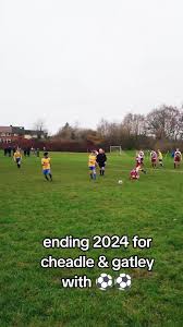 Image result for Cheadle & Gatley F C