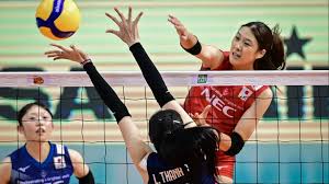 Image result for Nottingham Rockets Sitting Volleyball