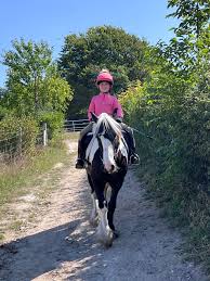 Image result for Bookham Riding School