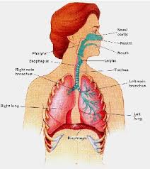 Breathing Exercise